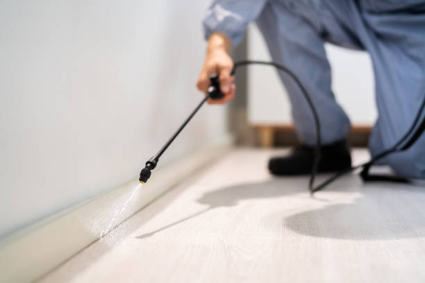 Bed Bug Pre-Treatment Preparation Assessment in Ocean Pines